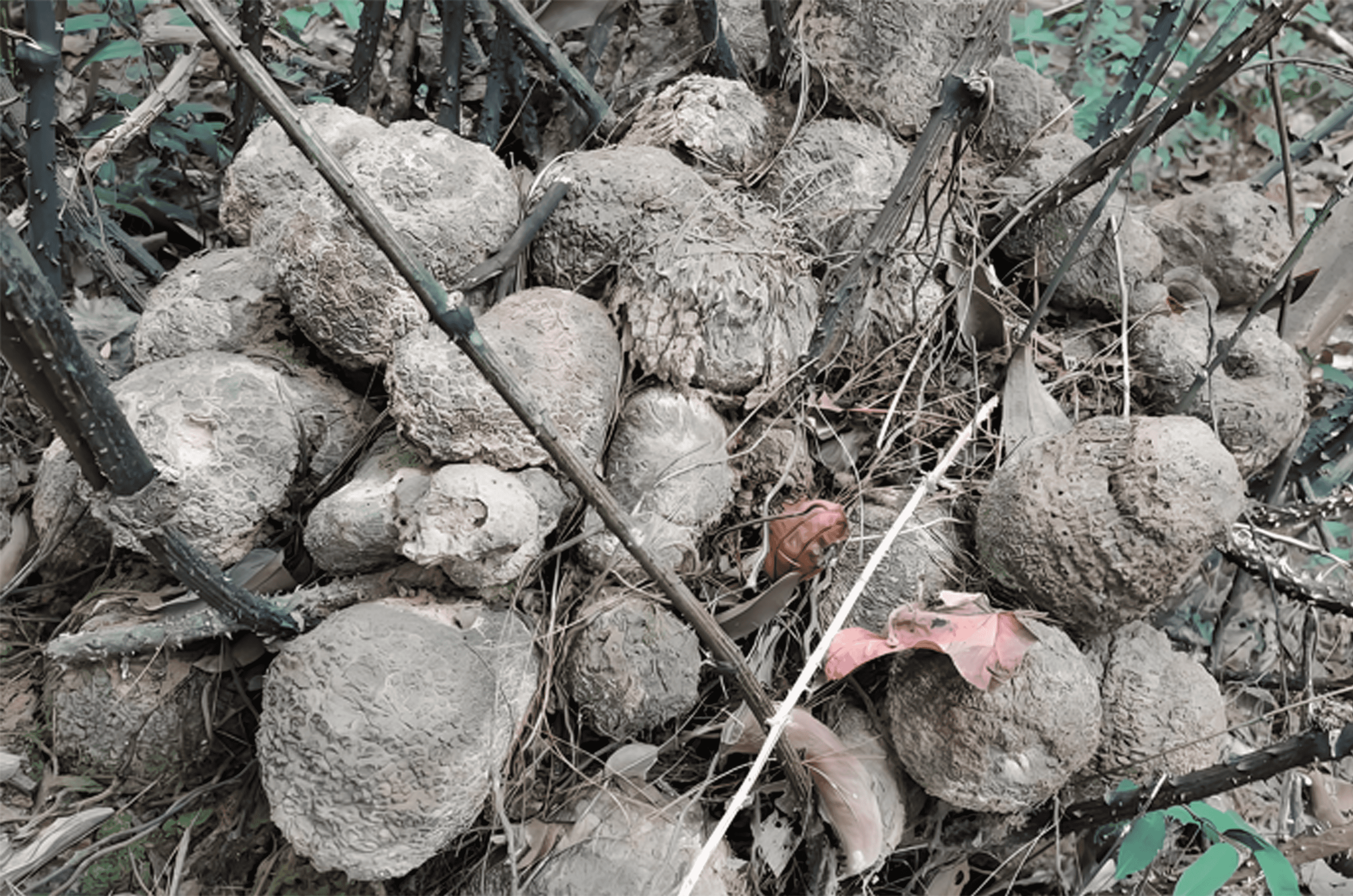 穿越千年技艺，品鉴匠人之心